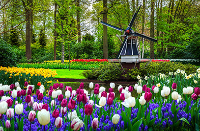 Een gezellig dagje uit naar de Keukenhof